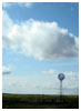 Texas