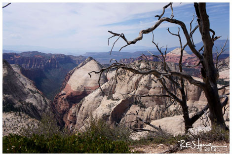 West Rim Trail, Zion