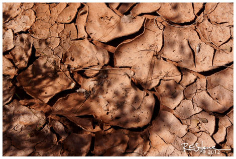 Red Cliffs State Park