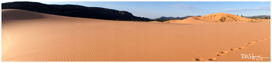 Coral Sand Dunes