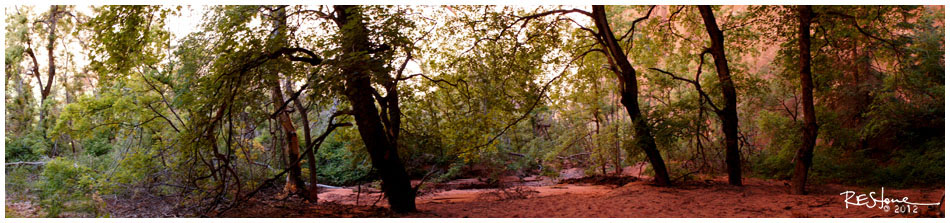 South Fork, Taylor Creek, Zion