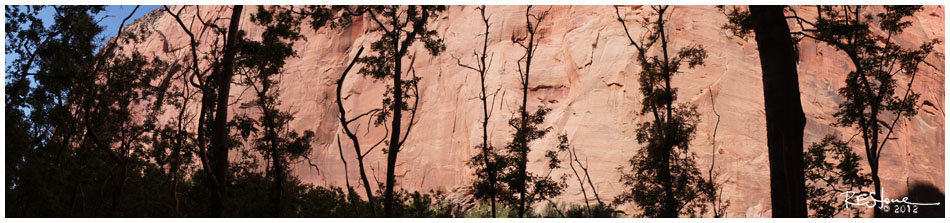 South Fork, Taylor Creek, Zion