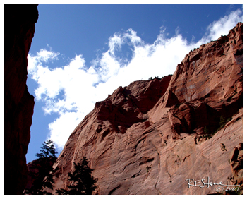 Face at Taylor Creek