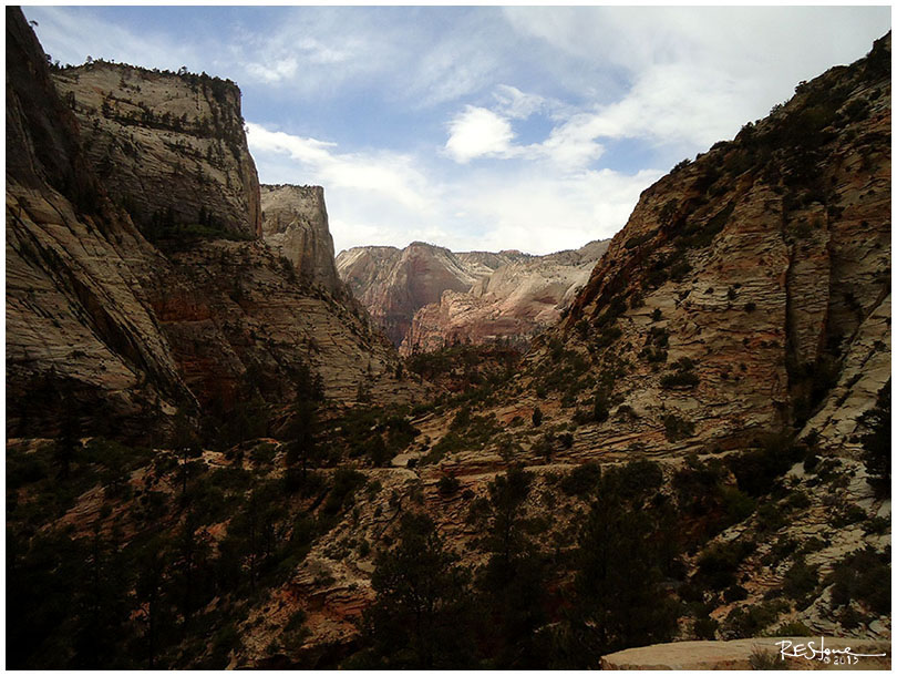 Observation Point Trail