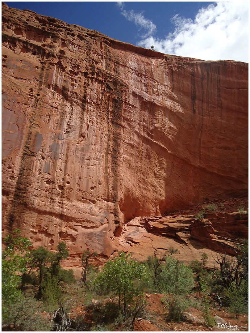 Burr Trail / Long Canyon, Boulder