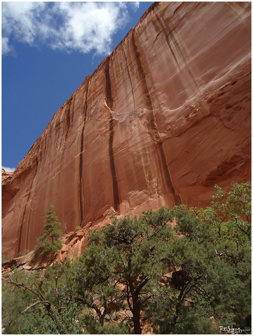 Burr Trail / Long Canyon, Boulder