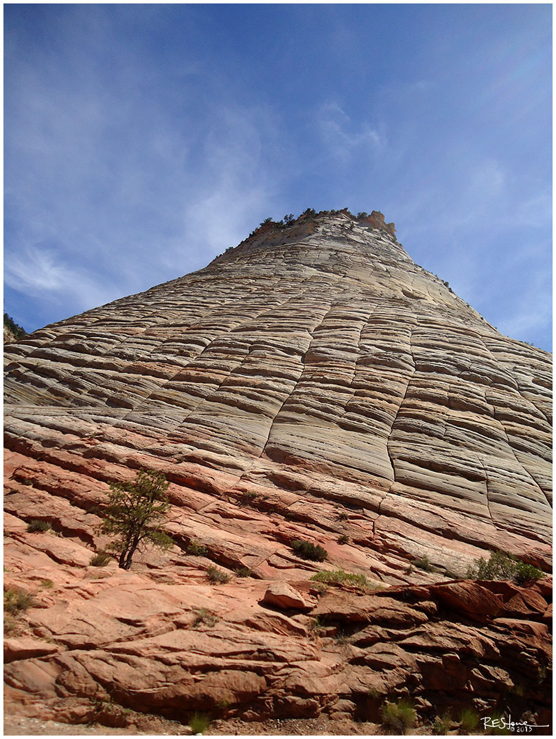 Checkerboard Mesa