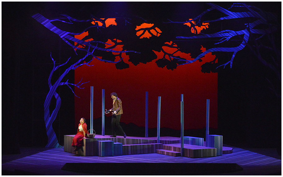 Scene from INTO THE WOODS